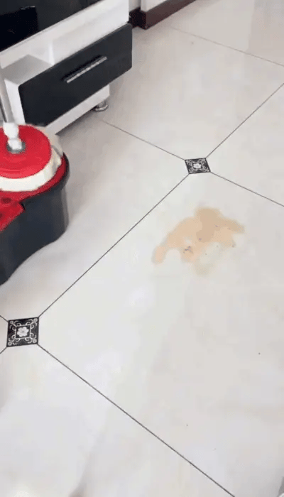 360 Spin Cleaning Mop